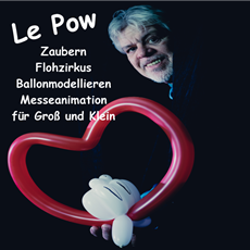 lepow 230x230 (002)